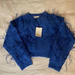 BNWT Blue sweater with feather details